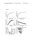 Peptide for Determining Actin Structures in Living Cells diagram and image