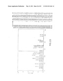 Antigen Binding Molecules that Bind EGFR, Vectors Encoding Same, and Uses Thereof diagram and image