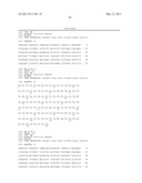 Antigen Binding Molecules that Bind EGFR, Vectors Encoding Same, and Uses Thereof diagram and image