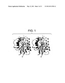 MODIFIED POLYPEPTIDES STABILIZED IN A DESIRED CONFORMATION AND METHODS FOR PRODUCING SAME diagram and image