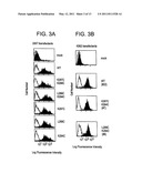 MODIFIED POLYPEPTIDES STABILIZED IN A DESIRED CONFORMATION AND METHODS FOR PRODUCING SAME diagram and image