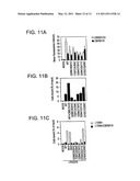 MODIFIED POLYPEPTIDES STABILIZED IN A DESIRED CONFORMATION AND METHODS FOR PRODUCING SAME diagram and image