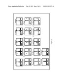 MICROCHIP FOR IDENTIFYING PHELLINUS SPECIES AND THE METHOD THEREOF diagram and image