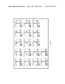 MICROCHIP FOR IDENTIFYING PHELLINUS SPECIES AND THE METHOD THEREOF diagram and image