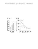 Short Duplex Probes for Enhanced Target Hybridization diagram and image