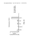 siRNA targeting spleen tyrosine kinase diagram and image