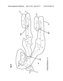 PEGYLATED RECOMBINANT HUMAN GROWTH HORMONE COMPOUNDS diagram and image