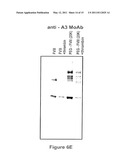 FACTOR VIII POLYMER CONJUGATES diagram and image