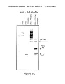 FACTOR VIII POLYMER CONJUGATES diagram and image