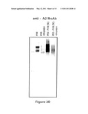 FACTOR VIII POLYMER CONJUGATES diagram and image