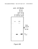 FACTOR VIII POLYMER CONJUGATES diagram and image