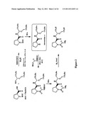 COGNITIVE ENHANCEMENT AND COGNITIVE THERAPY USING GLYCYL-L-2-METHYLPROLYL-L-GLUTAMIC ACID diagram and image