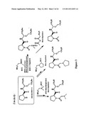 COGNITIVE ENHANCEMENT AND COGNITIVE THERAPY USING GLYCYL-L-2-METHYLPROLYL-L-GLUTAMIC ACID diagram and image