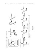 COGNITIVE ENHANCEMENT AND COGNITIVE THERAPY USING GLYCYL-L-2-METHYLPROLYL-L-GLUTAMIC ACID diagram and image