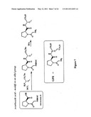 COGNITIVE ENHANCEMENT AND COGNITIVE THERAPY USING GLYCYL-L-2-METHYLPROLYL-L-GLUTAMIC ACID diagram and image