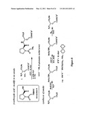 COGNITIVE ENHANCEMENT AND COGNITIVE THERAPY USING GLYCYL-L-2-METHYLPROLYL-L-GLUTAMIC ACID diagram and image