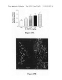 COGNITIVE ENHANCEMENT AND COGNITIVE THERAPY USING GLYCYL-L-2-METHYLPROLYL-L-GLUTAMIC ACID diagram and image