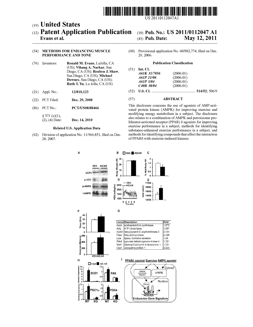 METHODS FOR ENHANCING MUSCLE PERFORMANCE AND TONE - diagram, schematic, and image 01