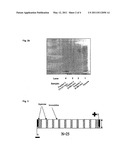 SEPARATION OF POLYSACCHARIDES BY CHARGE DENSITY GRADIENT diagram and image