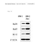 THERAPEUTIC AGENT FOR CANCER RESISTANT TO PROTEASE INHIBITOR diagram and image