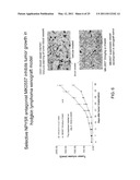 METHOD OF TREATING CANCER USING A NEUROPEPTIDE Y 5R (NP Y5R) ANTAGONIST diagram and image