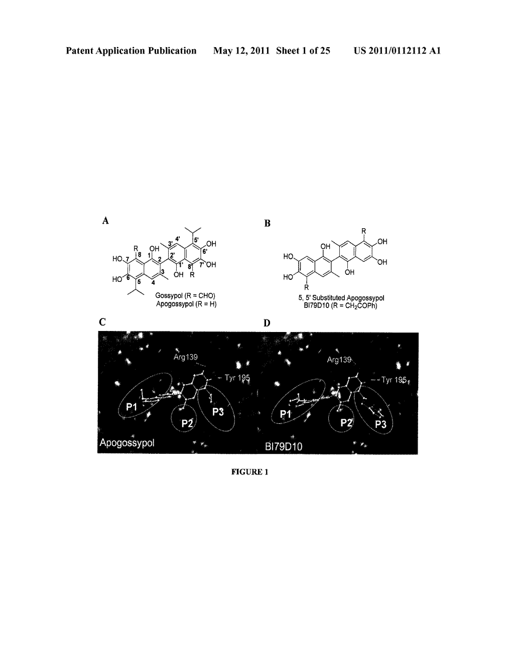 APOGOSSYPOLONE DERIVATIVES AS ANTICANCER AGENTS - diagram, schematic, and image 02