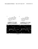 APOGOSSYPOLONE DERIVATIVES AS ANTICANCER AGENTS diagram and image