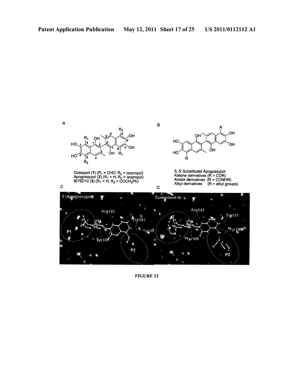 APOGOSSYPOLONE DERIVATIVES AS ANTICANCER AGENTS - diagram, schematic, and image 18