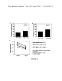 APOGOSSYPOLONE DERIVATIVES AS ANTICANCER AGENTS diagram and image