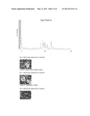 Pharmaceutical Compositions and Solid Forms diagram and image