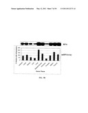 METHODS AND COMPOSITIONS INVOLVING MICRORNA diagram and image