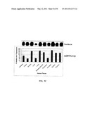 METHODS AND COMPOSITIONS INVOLVING MICRORNA diagram and image