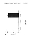 PEPTIDE BIOSYNTHESIS AND PAIN THERAPY diagram and image