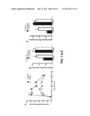 PEPTIDE BIOSYNTHESIS AND PAIN THERAPY diagram and image