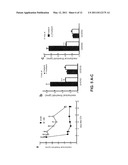 PEPTIDE BIOSYNTHESIS AND PAIN THERAPY diagram and image