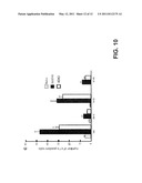 PEPTIDE BIOSYNTHESIS AND PAIN THERAPY diagram and image