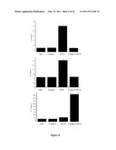 COMPOUNDS WITH GLYCIDIC STRUCTURE ACTIVE IN THE THERAPY OF SYSTEMIC AND LOCAL INFLAMMATION diagram and image