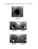 STRUCTURAL MATERIALS WITH NEARLY ZERO CARBON EMISSIONS diagram and image