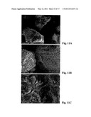 STRUCTURAL MATERIALS WITH NEARLY ZERO CARBON EMISSIONS diagram and image