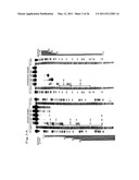 RNA INTERFERENCE MEDIATING SMALL RNA MOLECULES diagram and image