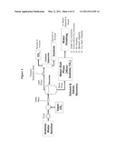 ENERGY EFFICIENT ACETONE DRYING METHOD diagram and image