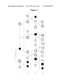 SIRT1 POLYMORPHIC VARIANTS AND METHODS OF USE THEREOF diagram and image