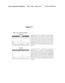 SIRT1 POLYMORPHIC VARIANTS AND METHODS OF USE THEREOF diagram and image