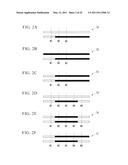 METHOD OF PLANT GENOME DESIGN, METHOD OF CREATING NEW CULTIVAR AND NEW CULTIVAR diagram and image