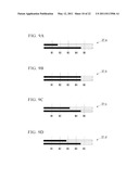 METHOD OF PLANT GENOME DESIGN, METHOD OF CREATING NEW CULTIVAR AND NEW CULTIVAR diagram and image