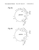 TRICHOME SPECIFIC PROMOTERS diagram and image