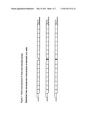 PVC Veneer Laminated or Surface Printed Extruded Vinyl Panel With Hollow Channels diagram and image