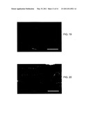 ORGANIC PHOTOSENSITIVE CELLS GROWN ON ROUGH ELECTRODE WITH NANO-SCALE MORPHOLOGY CONTROL diagram and image