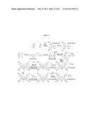 Stable electrodes with modified work functions and methods for organic electronic devices diagram and image