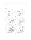 HANDOVER PROCEDURE AND METHOD AND APPARATUS FOR CONTROLLING TRANSMITTER POWER OF FEMTO BASE STATION IN BROADBAND WIRELESS COMMUNICATION SYSTEM diagram and image